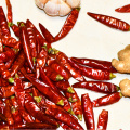 Dried red pepper food seasoning Chaotian pepper