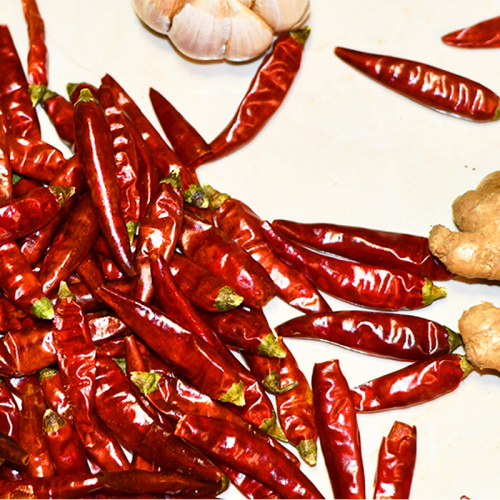 Chili Delicious Spices Delicious Cooking High quality dried red peppers cheap Pod Pepper Supplier