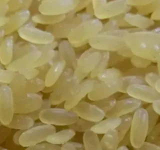 Instant Artificial Rice Machine