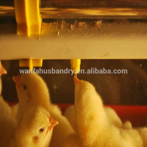High quality plastic automatic drinker for chicken