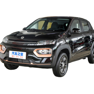 High-Quality Small Electric Cars: The Dongfeng EX1 Nano BOX with 331km Range - Made in China