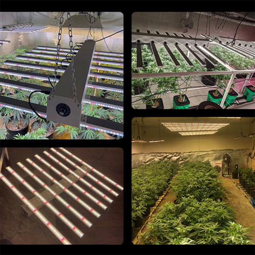 600W Full Spectrum Led Grow Light 4X4 6X6