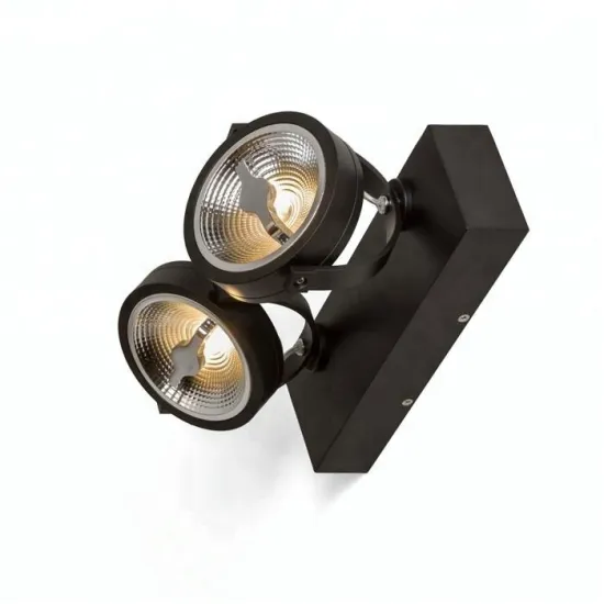 24W-30W AR111 Dimmable Surface COB LED Double Downlight Luminaire: Brightening Solutions for Your Space