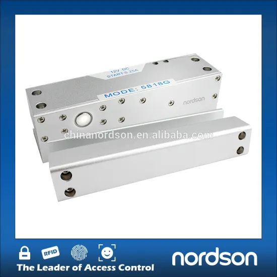 Frameless glass Electric door lock with timer (NI-600)