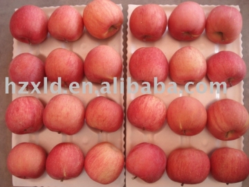 apples