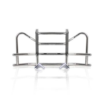 Deer Guard for Mack Pinnacle 2018