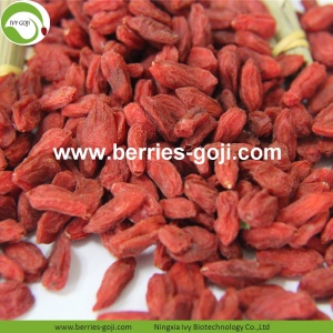 Factory Supply Fruit Dried Natural Goji Berries