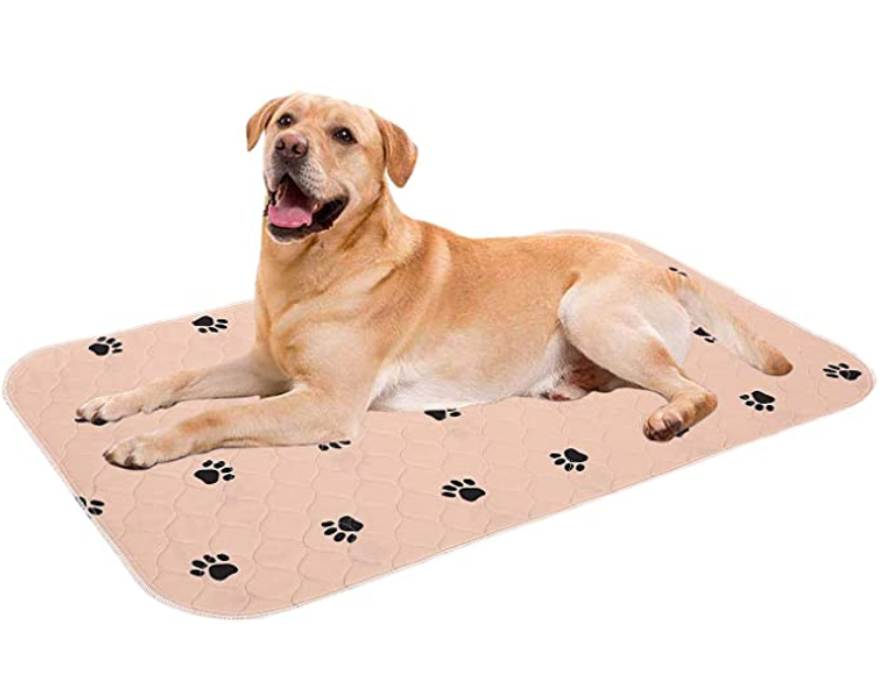 Washable Puppy Training pad