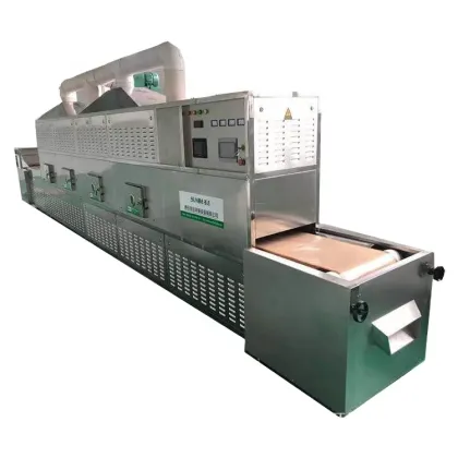 Automatic Microwave Belt Dryer for Morel Mushrooms and Other Vegetables - China Manufacturer