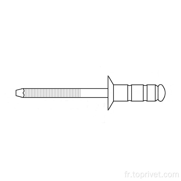 Rivet à l'aveugle multi-grip sur l'acier / en acier