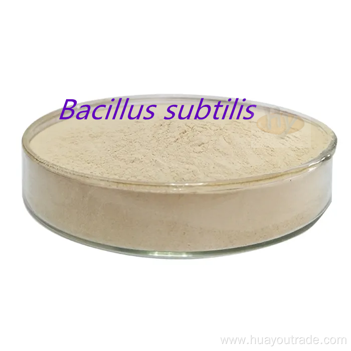 Bacillus subtilis insoluble water 600CFU/G for animal feed