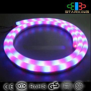 Sıcak satış 12v neon ışık led