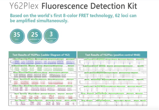 Y62 Plex 8 Color Fluorescent Kit