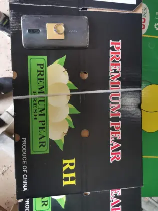 Fresh Gloden Crown Pear