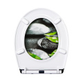 FanMirtk Duroplast Toilet Seat Soft Close UF819-17