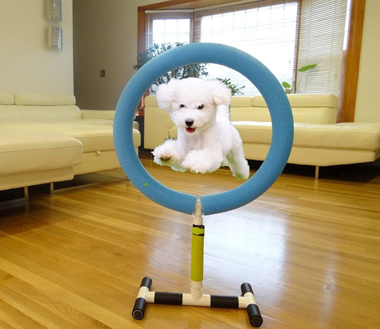 Indoor Outdoor Pet Training Equipment