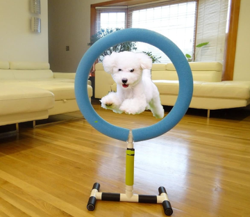 Attrezzature per la formazione per animali domestici per esterno per interni
