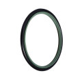 Tipo RS O-ring per guarnizione pistone ptfe