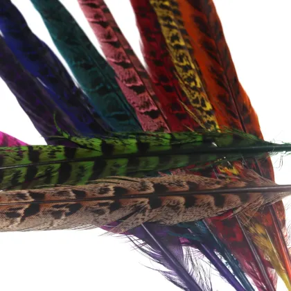 Natural Ring Neck Hen Pheasant Tail Feathers for Fly Tying Nymphs and Wet Fly Wings