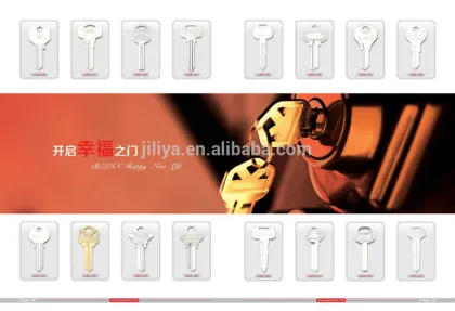 blank key cisa brass key