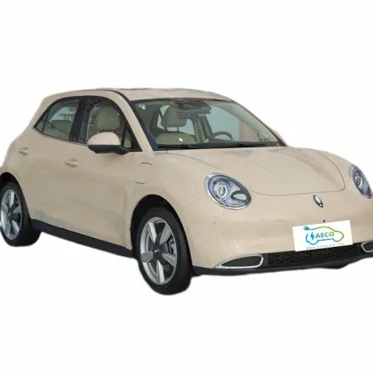 Long Endurance 400km Electric Car with Standard Battery