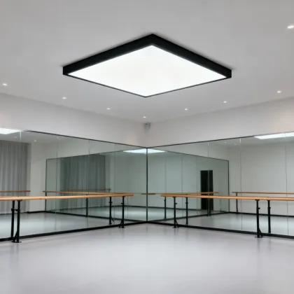 Smart Voice Controlled LED Ceiling Light