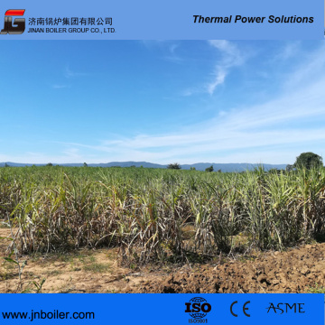 240tph High Pressure CFB Biomass Boiler