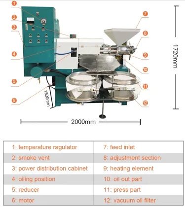 Automatic Peanut Machine: Edible Oil Press Machine & Coconut Oil Extraction
