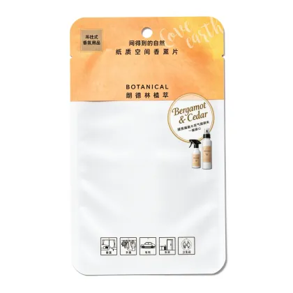 Clothing cleaning and care bag
