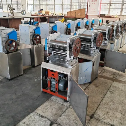 High Capacity Stainless Steel Pasta Noodle Maker for Bakery & Hotel Industries