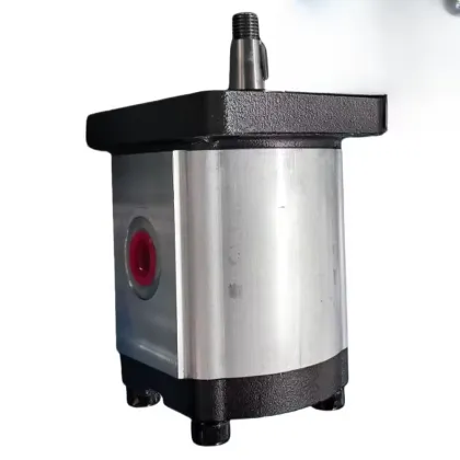 Hydraulic Gear Motor for PGM PGP Series: PGM505A0050BJ1H1ND3D3B1B1A3