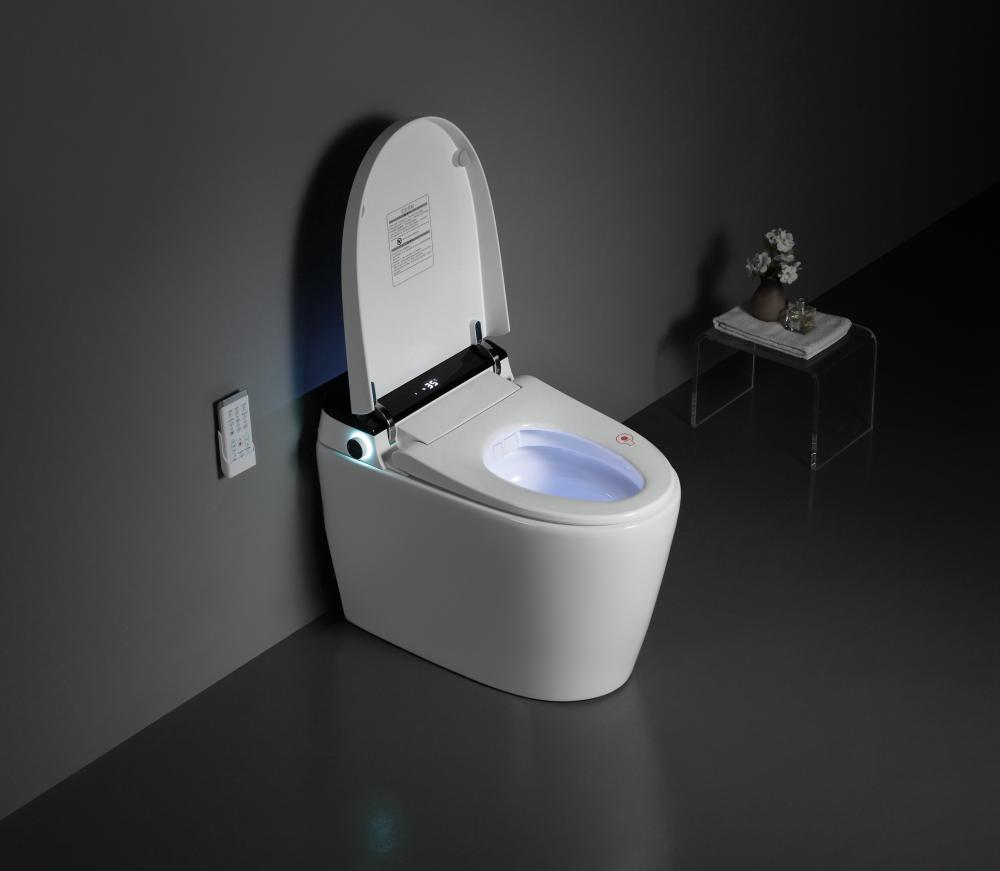 8305a 6smart Toilet