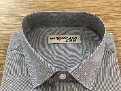 Exquisite men's stand-up collar shirt