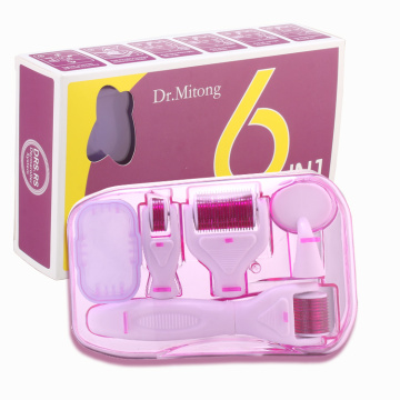 Mauri Hot-Sale High Quality 6in1 Derma Rollers