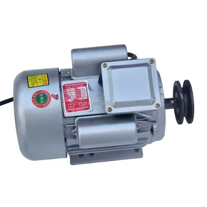 220V AC Single-Phase Motor for Agricultural Machinery