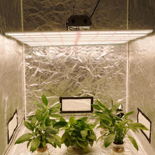 Tiras de luz de cultivo LED a prueba de agua de espectro completo Phlizon