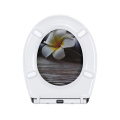 Duroplast Toilet Seat Soft Close Quick Release (Plumeria)