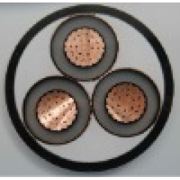 YJV/11KV xlpe Power Cable/CU/XLPE/PVC Power Cable 11KV