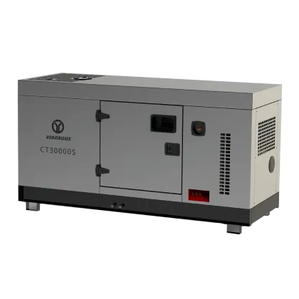 Diesel Powered Generator Set from VIGOROUS POWER