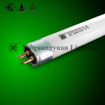 T5 Fluorescent Tube 4W-80W