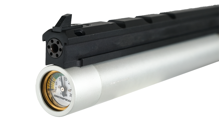 PP20 Front-Prssure Gauge