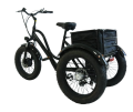 قاعة الاستشعار رانجكا beltdrive دراجة ثلاثية العجلات الكهربائية