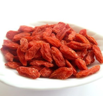 free sample goji berries / organic goji berries / fresh goji berries