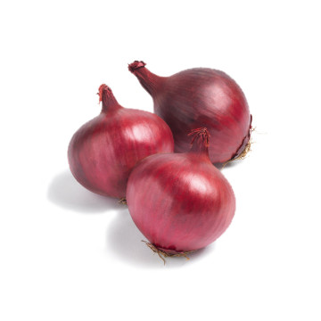 good quality 2020 crop chinese fresh onion