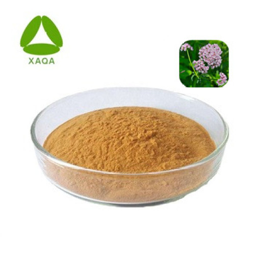 Valerian Root Extract 4% Valerianic acid powder