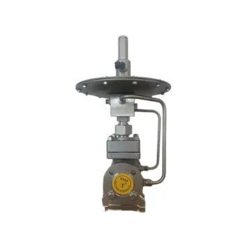 Self-operated TGK25108 Micro Pressure Regulating Valve
