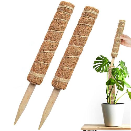 Coconut Palm Climbing Stick