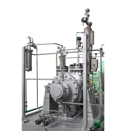 Huasheng Manufacture: Customizable High Pressure Pumps for the Chemical Industry
