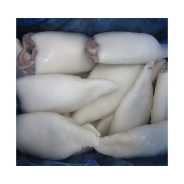 supply frozen whole cleaned squid nutritious delicious seasoned whole cleaned squid
