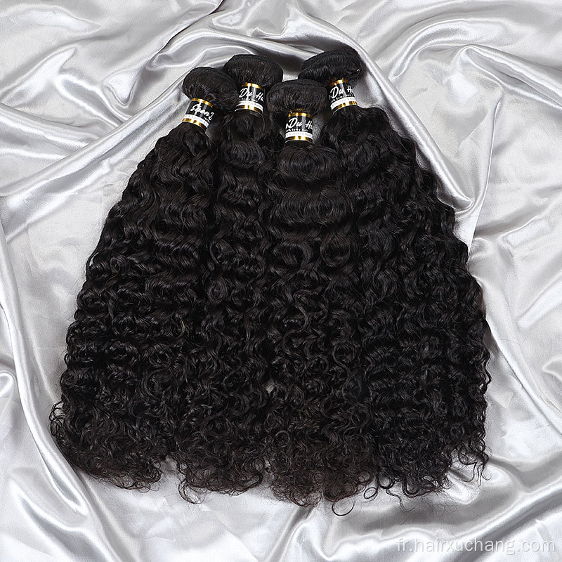 Fondeurs de cheveux humains à vagues à eau pas chère populaires 10a Bundles de cheveux Remy Hair Virgin Indian Remy non traités